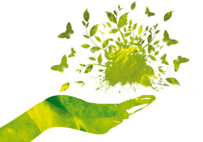 Pequenos neg�cios adotam desenvolvimento sustent�vel