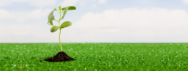 Como fazer seu neg�cio crescer sem financiamento