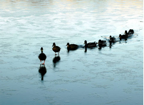 13 atitudes que diferenciam bons l�deres de chefes