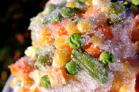 Mercado de congelados saud�veis � oportunidade de neg�cio