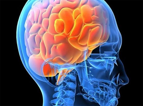 O que sua empresa pode conquistar com ajuda da neuroci�ncia