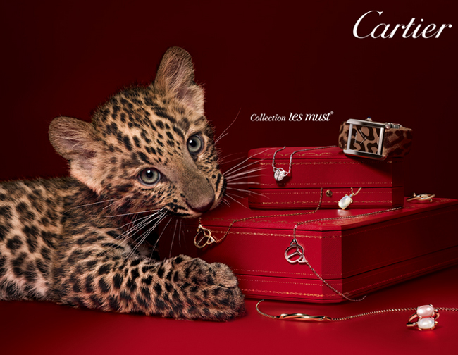 Cartier recebe inscries para prmio de mulheres empreendedoras