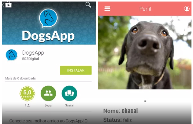 Casal cria aplicativo para cachorros no estilo do Tinder