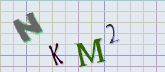 This is a captcha-picture. It is used to prevent mass-access by robots. (see: www.captcha.net)