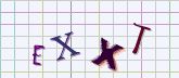 This is a captcha-picture. It is used to prevent mass-access by robots. (see: www.captcha.net)