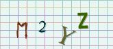 This is a captcha-picture. It is used to prevent mass-access by robots. (see: www.captcha.net)